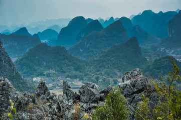 南山植物园开放时间是什么时候