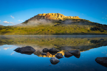 三年级科学植物有哪些相同的特点教案