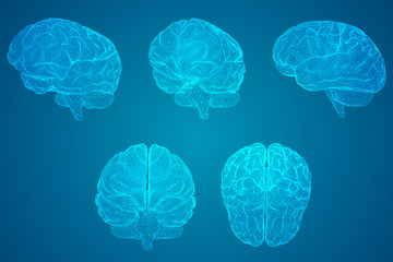 七年级下科学作业本A.B答案（浙江教育版）