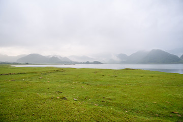 人教版小学科学四年级下册教学计划