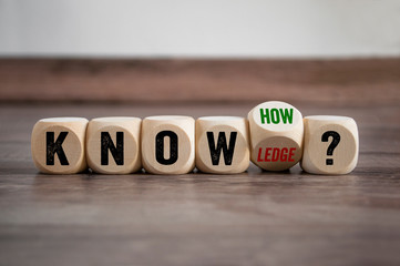 三年级科学植物有哪些相同的特点教案