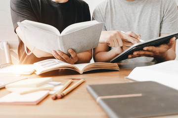 内蒙古海水稻种植