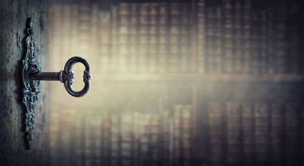 食育教育的内容是什么？