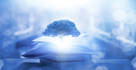 三年级科学植物有哪些相同的特点教案