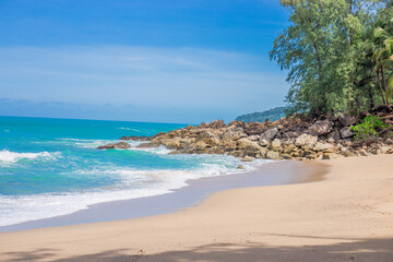 食育教育的内容是什么？