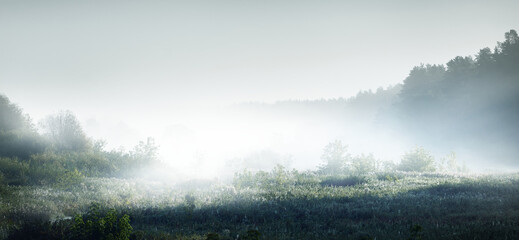 女生性格软弱表现