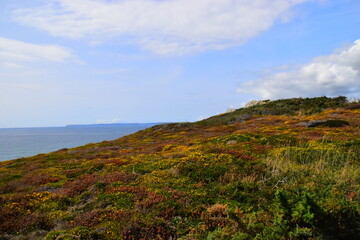 七年级下科学作业本A.B答案（浙江教育版）