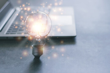 三年级科学植物有哪些相同的特点教案