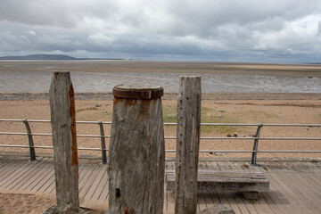 内蒙古海水稻种植