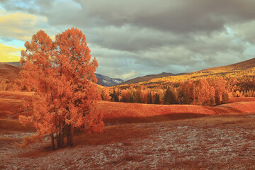 人们有哪些保护自然环境的例子