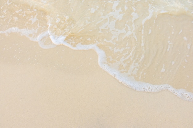 老九门是哪九门