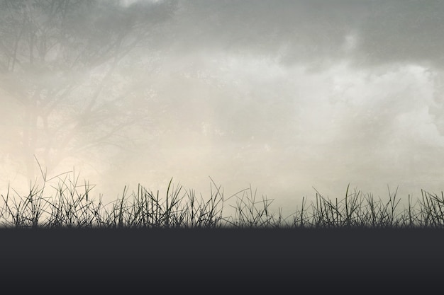 七夕情人节活动策划案