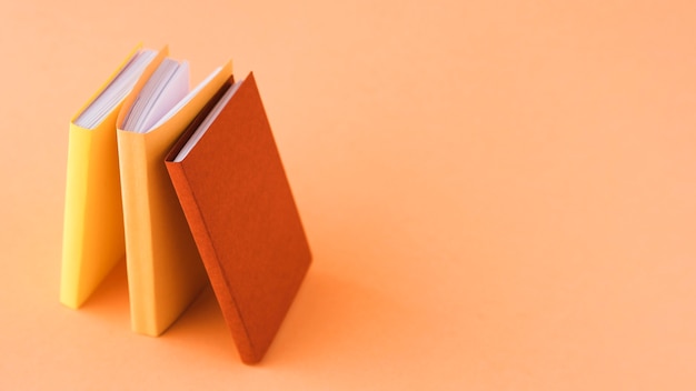 人教版小学科学四年级下册教学计划