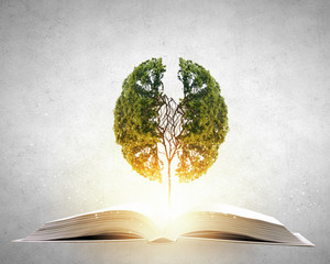 内蒙古海水稻种植