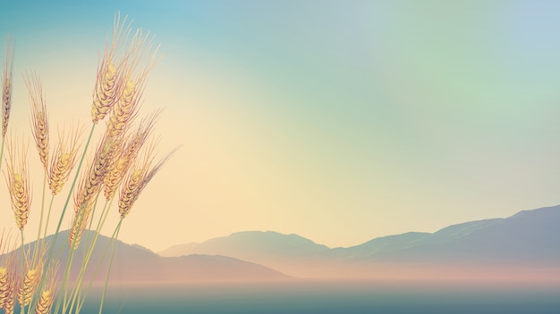 七年级下科学作业本A.B答案（浙江教育版）