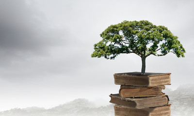 内蒙古海水稻种植