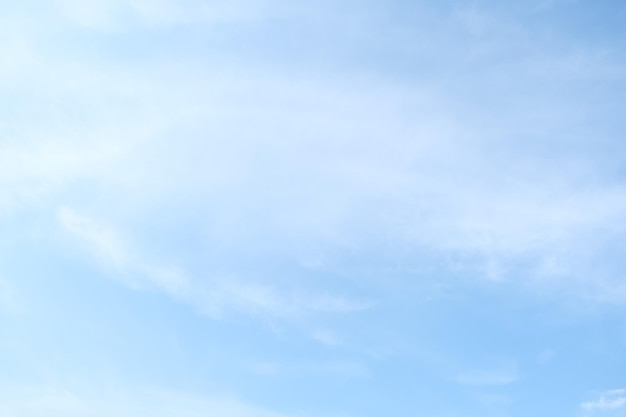 内蒙古海水稻种植