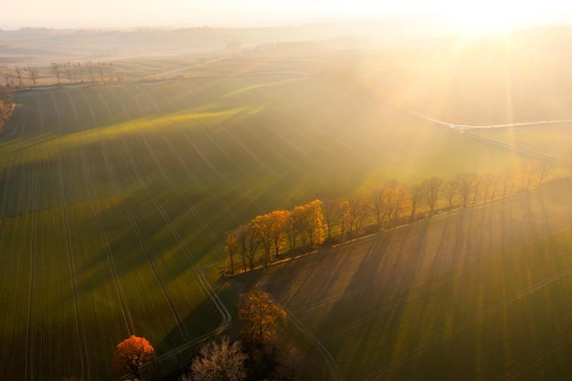 南山植物园开放时间是什么时候