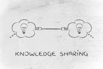七年级下科学作业本A.B答案（浙江教育版）