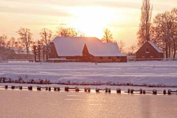 七夕情人节活动策划案