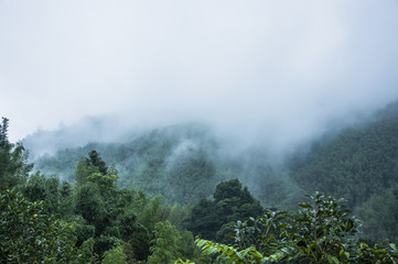 女生性格软弱表现